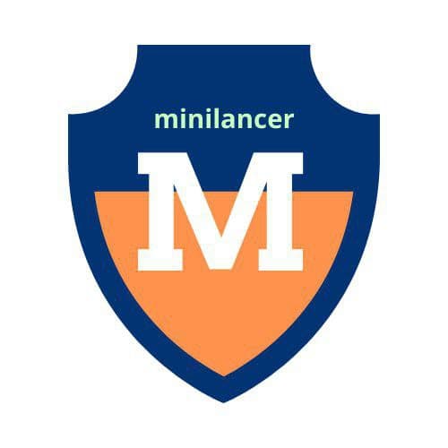 Minilancer - Social Media Marketing Agency